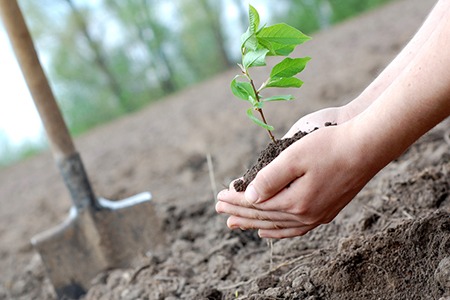 groeien met loopbaancoaching